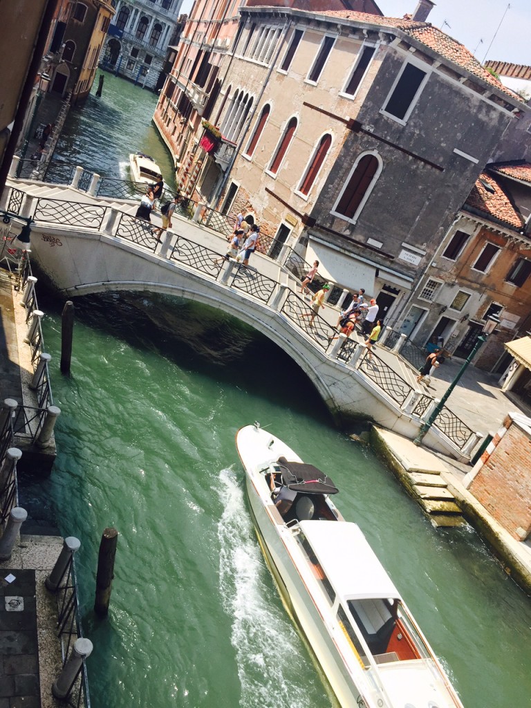 Venice can offer some green tips to the US