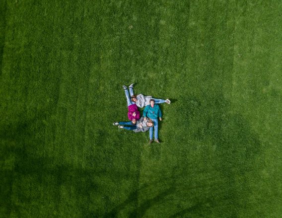 family in the grass